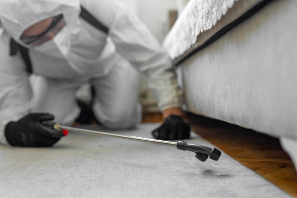 Professional Bed Bug Control technician working in Greenwood, PA