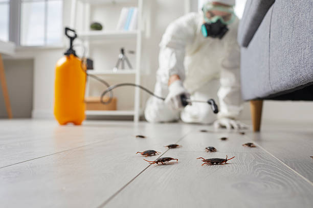 Trusted Cockroach Control service in Greenwood, PA - Nex Pest Control